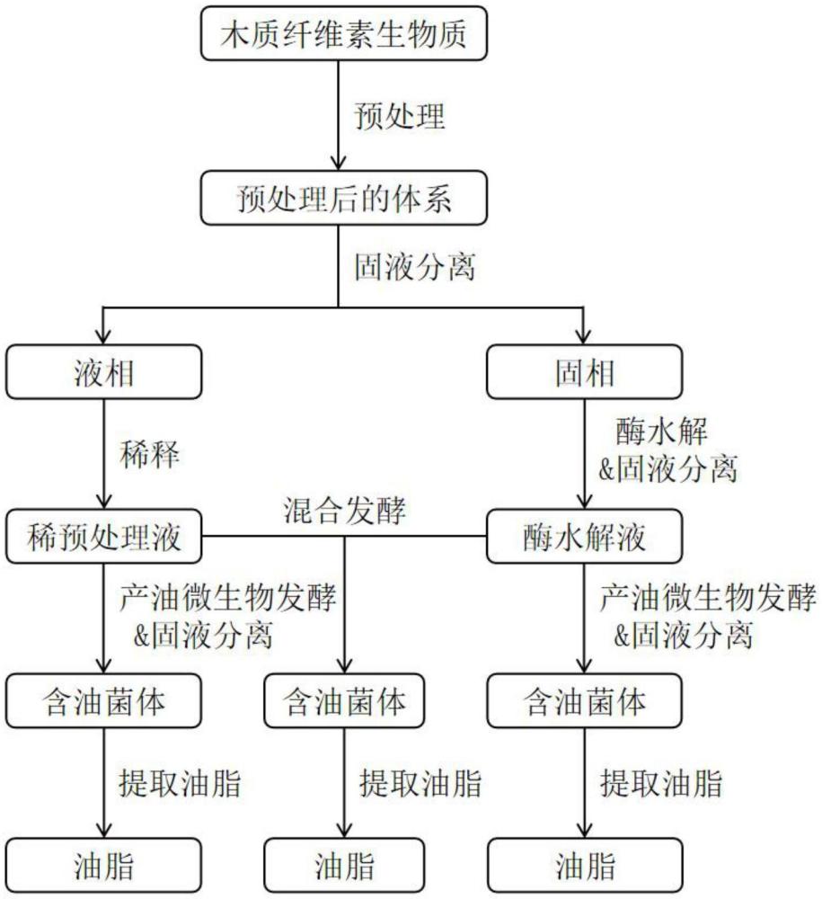 一种基于乙酸盐与甘油组合预处理的生物质高效转化产油脂的方法