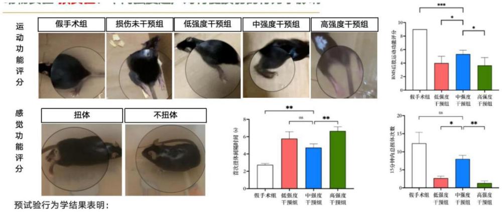 一种低强度脉冲超声治疗脊髓损伤后脱髓鞘的方法