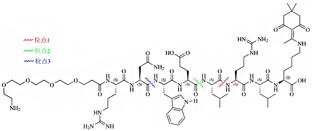 一种NH2-PEG4-RK(Dde)-OH的合成方法与流程