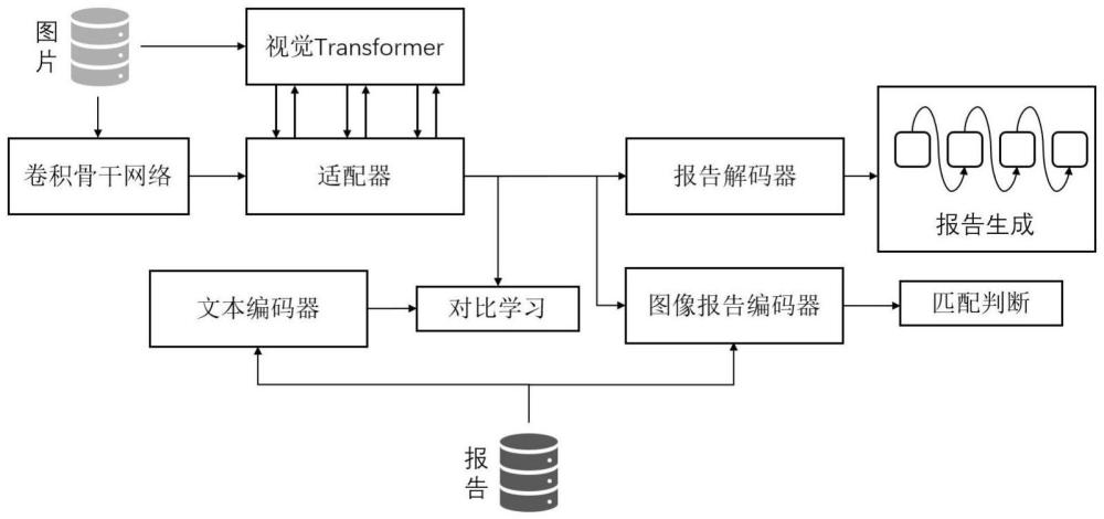 一种轻量级空间适配器增强的医学报告生成方法