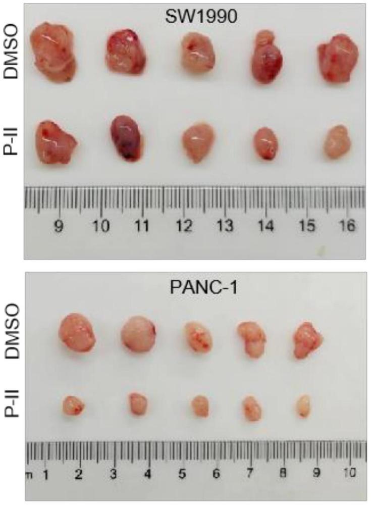 胡黄连苷II在制备治疗胰腺癌的产品中的应用