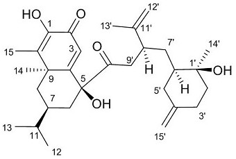 一种倍半萜二聚体类化合物及其制备方法与应用与流程