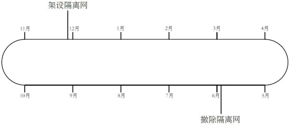 基于可控虾苗数量的中华绒螯蟹与克氏原螯虾混养方法与流程