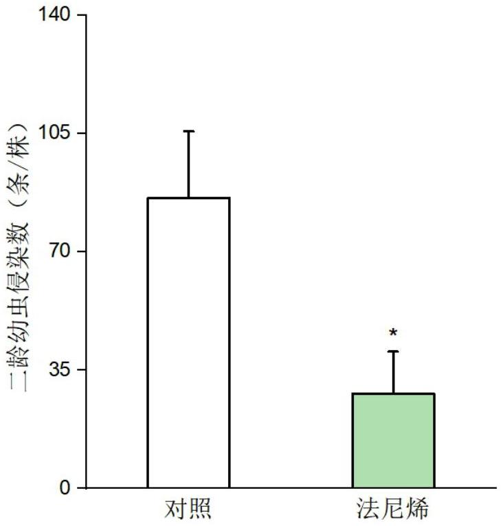 法尼烯在防治南方根结线虫中的应用