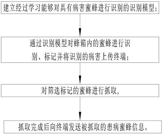 一种患病蜜蜂的筛选抓取方法