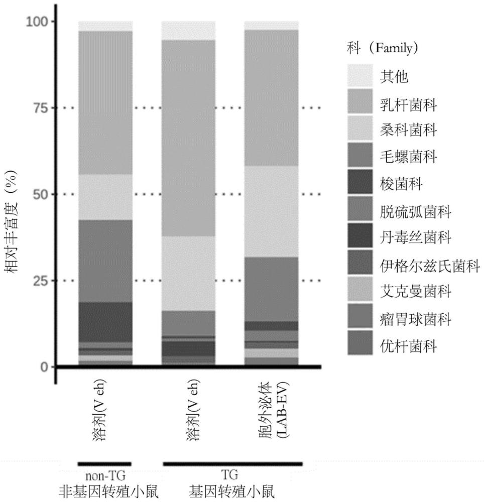 乳酸菌、用于改善肠道微生物菌种组成的组合物以及该乳酸菌的产品和用途的制作方法