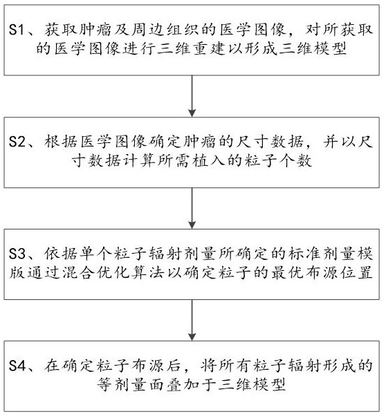 一种应用于粒子植入治疗的粒子布源方法及系统与流程