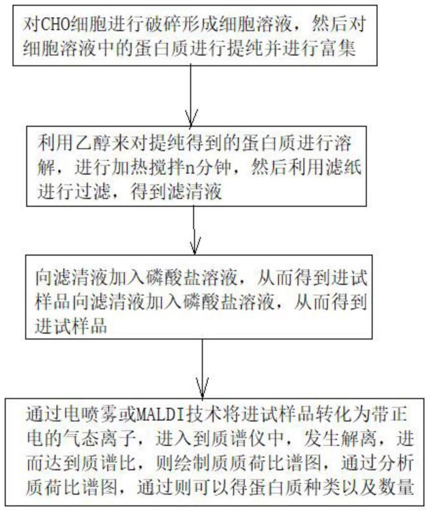 一种CHO HCD残留检测试剂盒及其检测方法与流程