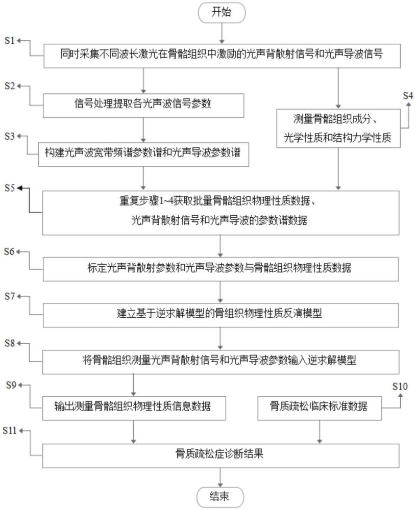 一种基于多模式光声的骨质疏松检测方法及其检测系统