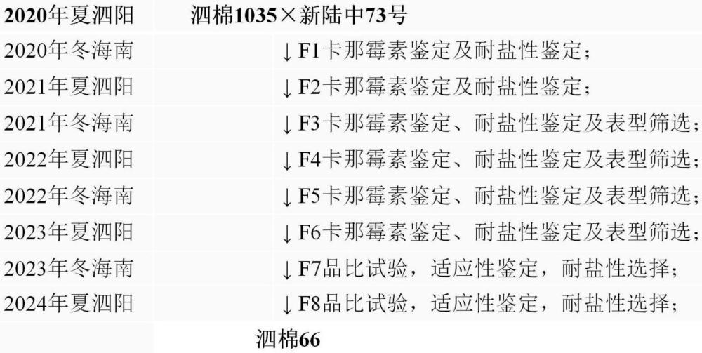 一种耐盐高品质机采棉棉花的选育方法