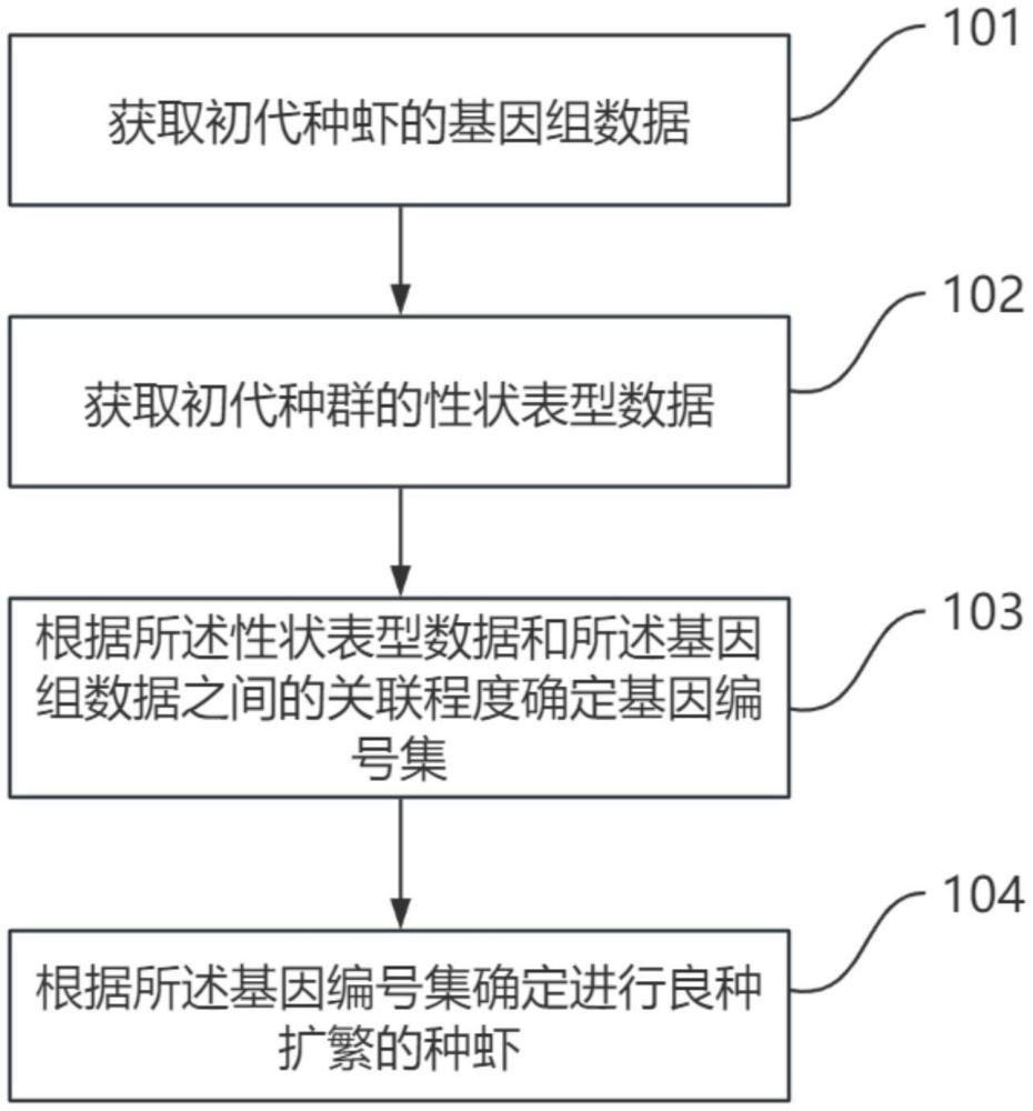 一种基于深度学习的南美白对虾良种扩繁方法与流程