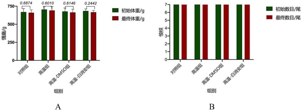 基于红鳍东方鲀生殖干细胞移植到成体不育受体进行制种的方法与流程