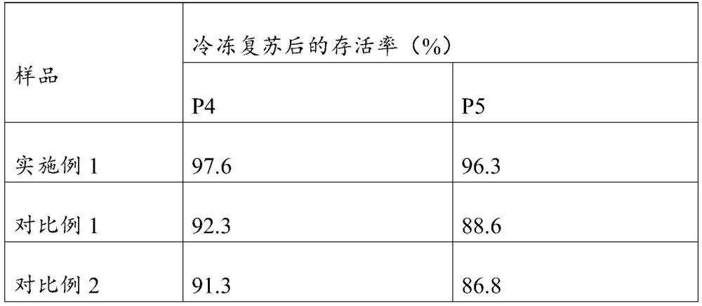 一种脐带间充质干细胞制备方法与流程