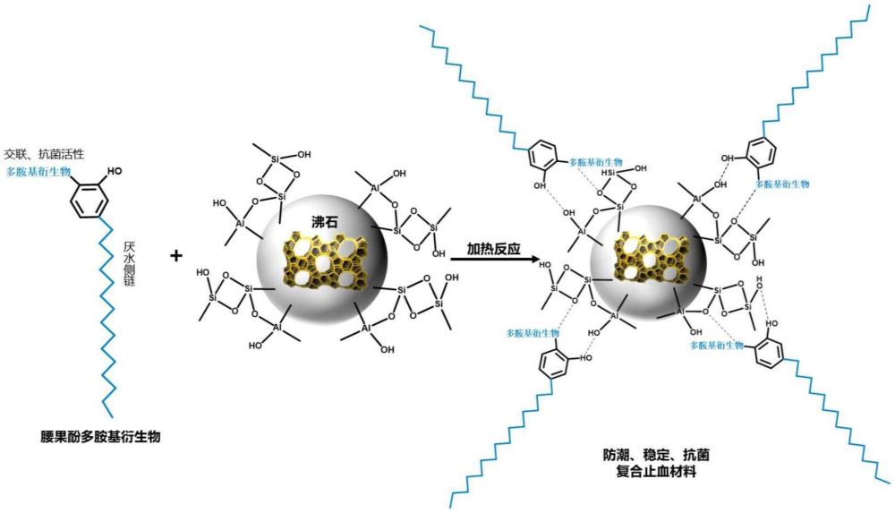 一种腰果酚多胺基衍生物改性的沸石复合止血材料及其制备方法与应用与流程