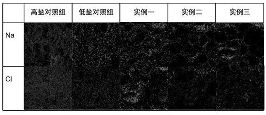 一种提高咸味感知的低盐鱼糜制品的加工方法