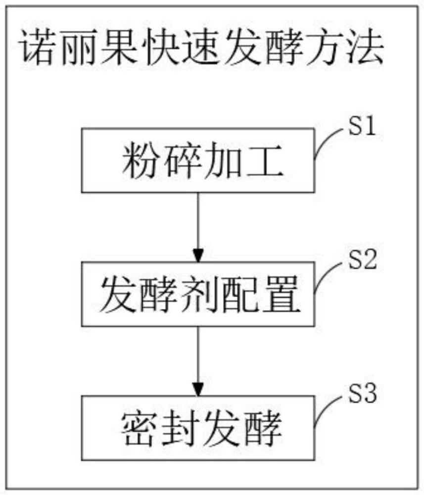 一种诺丽果快速发酵方法与流程