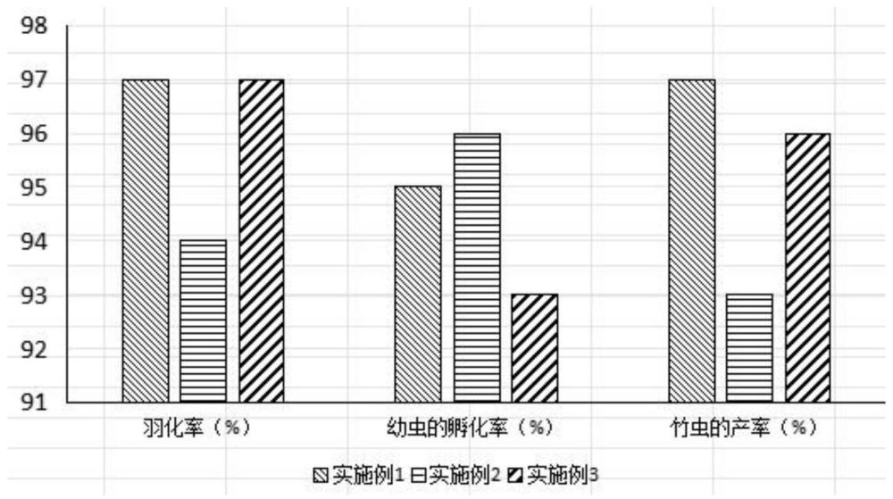 一种竹虫的养殖方法与流程