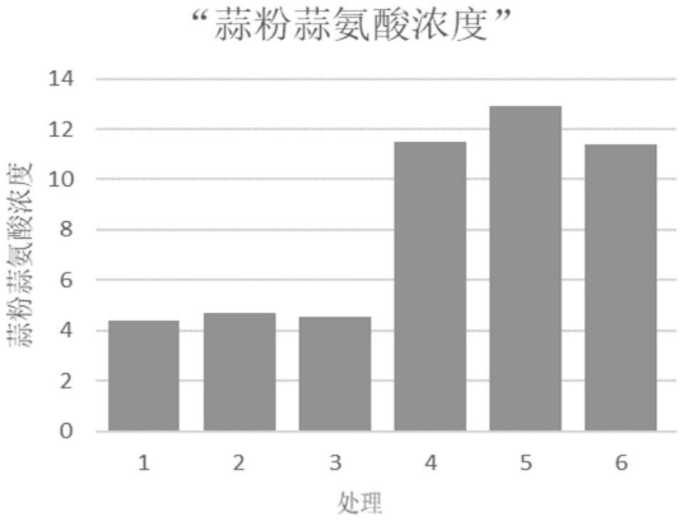 一种超低温快速冻干高蒜氨酸蒜粉的制备方法