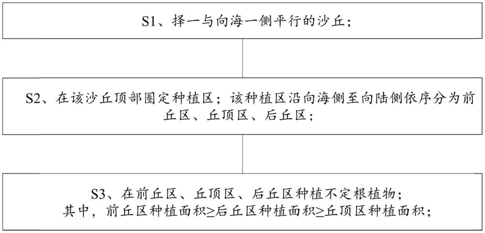 一种用于滨海修复沙丘固定的近自然植被分区种植方法与流程