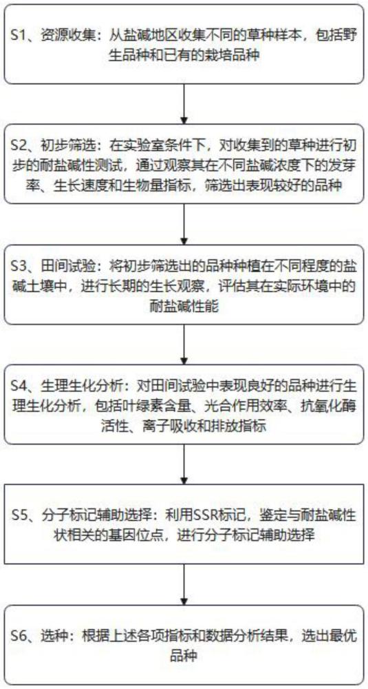 一种耐盐碱草种的筛选与培育方法与流程