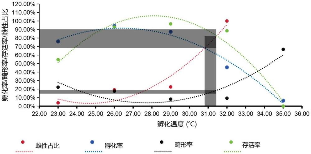 一种提高乌龟雌性幼苗产出率的孵化方法