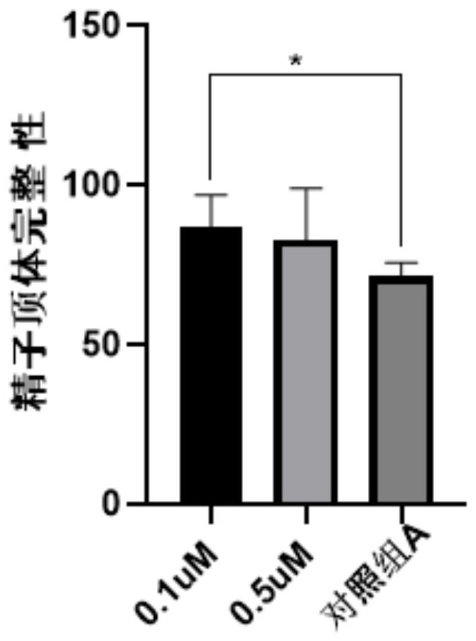 一种提高非人灵长类动物精子活动力的体外保存方法