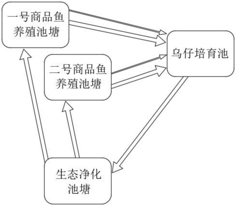 一种基于三塘协同的大口黑鲈生态养殖系统及方法与流程