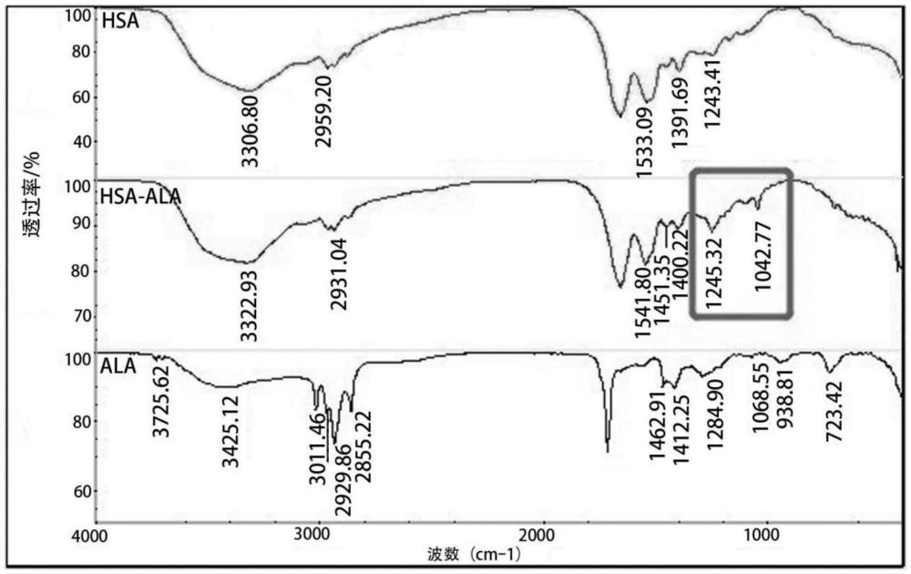 预防、阻止或治疗微生物感染的复合物及制备方法和用途与流程