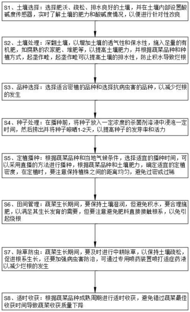 一种具有防治烂根的蔬菜密植高产种植方法与流程