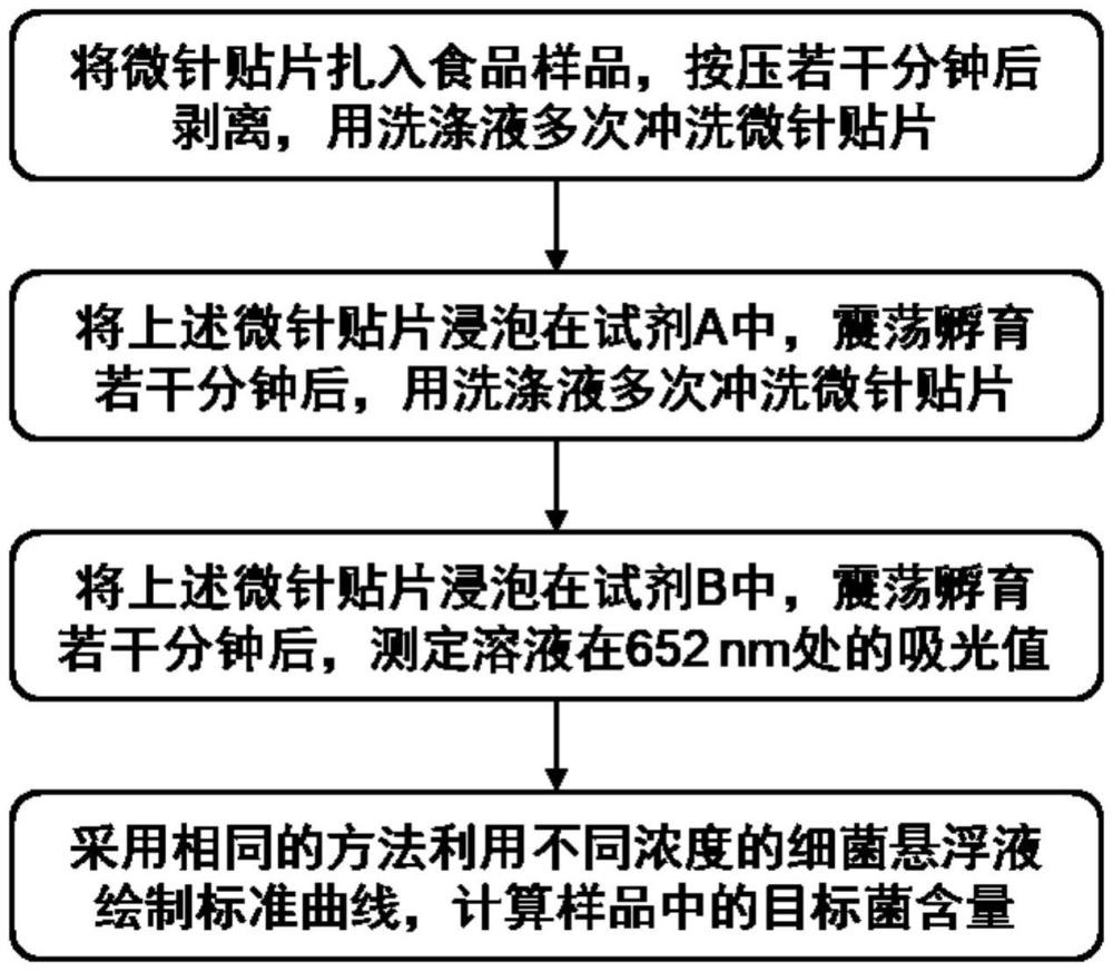 一种食源性细菌检测试剂盒及其制备方法与应用