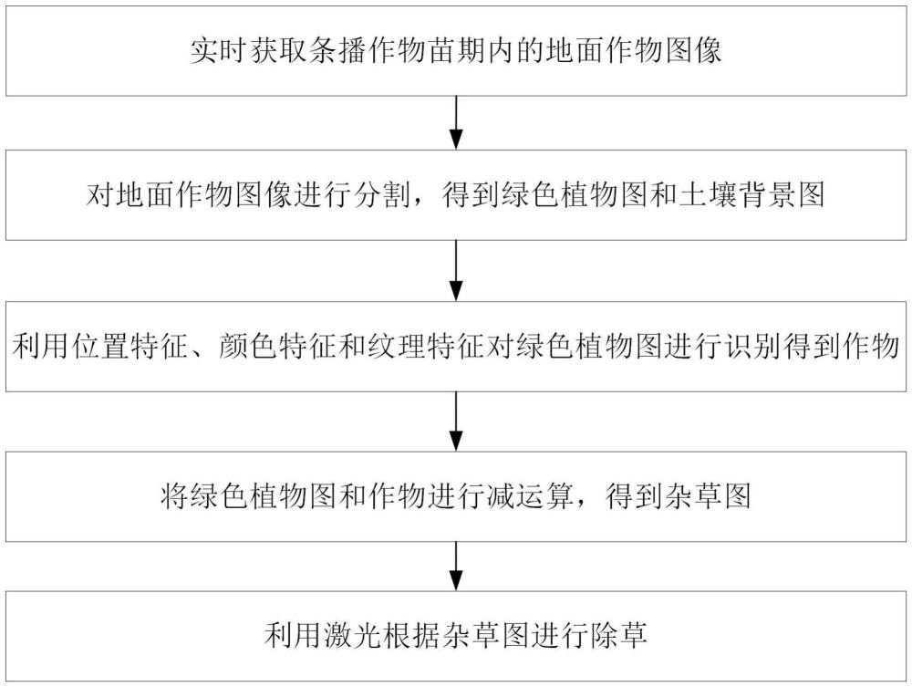 用于条播作物苗期间的激光除草机器人的除草方法和装置