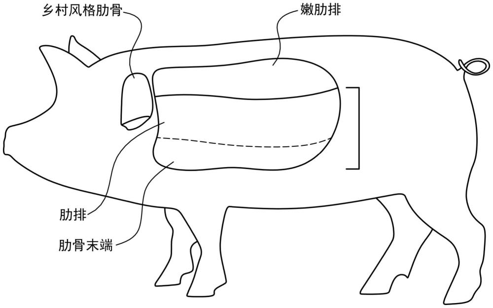 肋骨初步分割部的分割和修整的制作方法