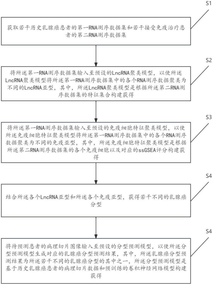 一种基于LncRNA和免疫细胞特征的乳腺癌分型预测方法及系统