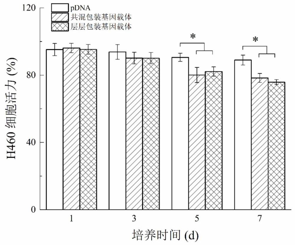 一种肿瘤微环境调控复合基因载体及其制备方法和应用