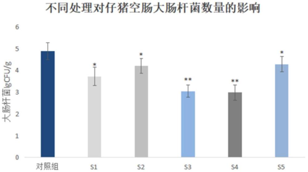 一种复合益生菌在制备提高猪生长性能和免疫力的益生菌剂中的应用的制作方法