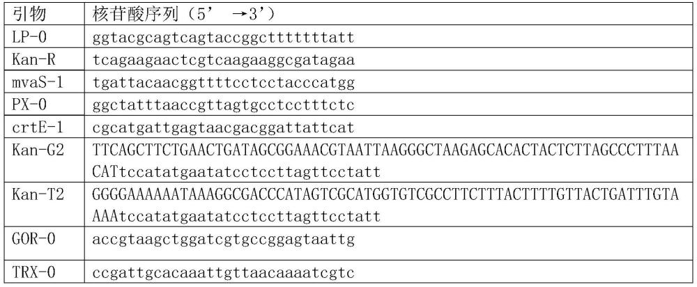 合成紫黄质及其衍生物的重组大肠杆菌及其构建方法和应用与流程