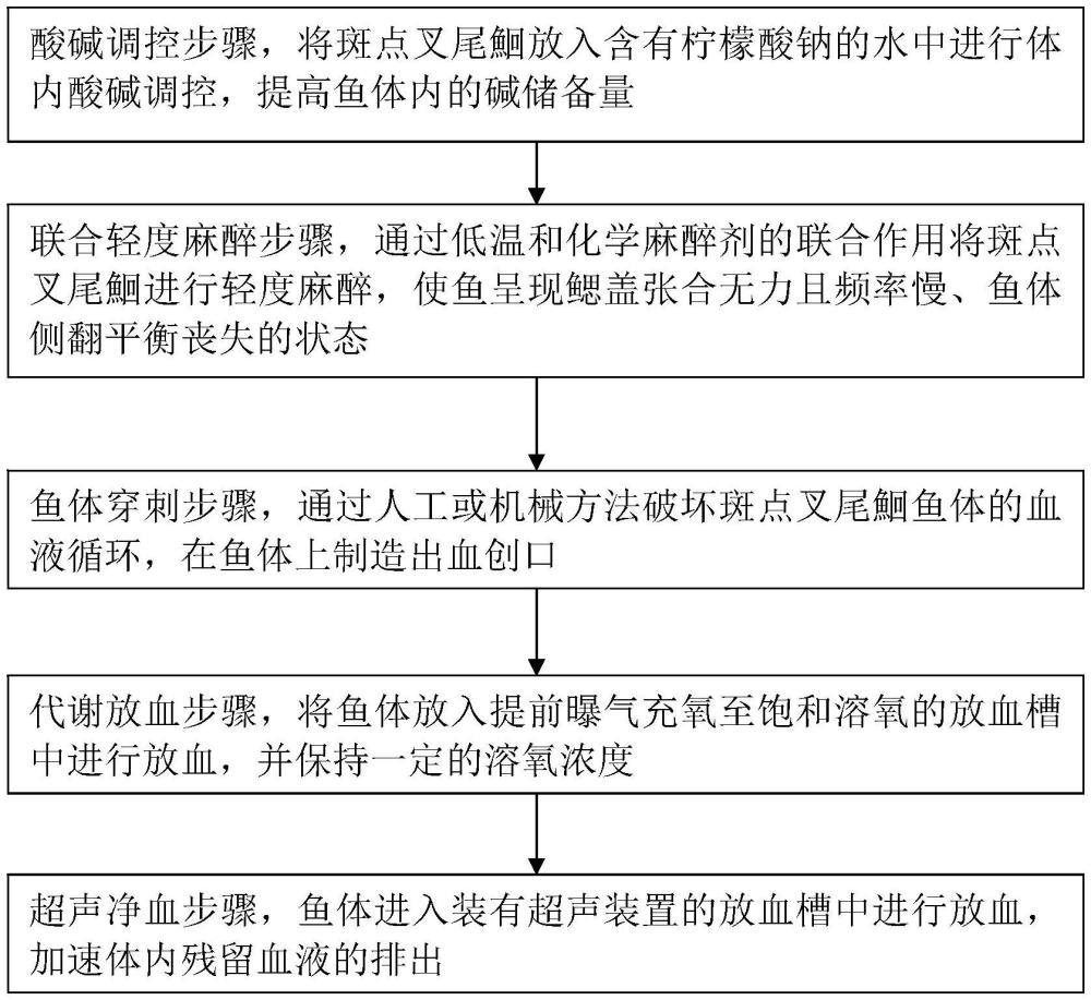 一种斑点叉尾鮰的低应激放血加工方法与流程