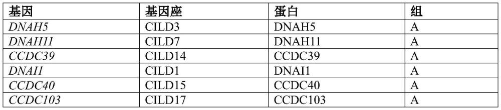 纤毛疾病的治疗的制作方法