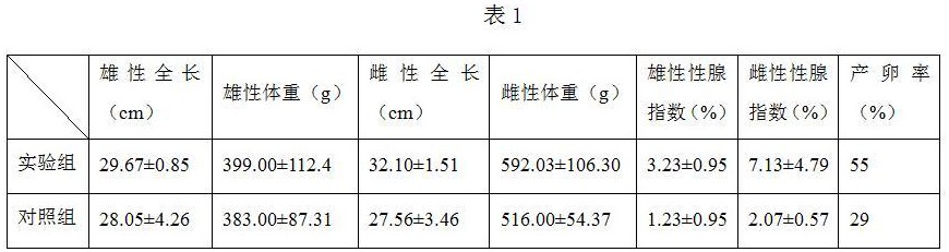 一种绿鳍马面鲀亲鱼培育的方法与流程