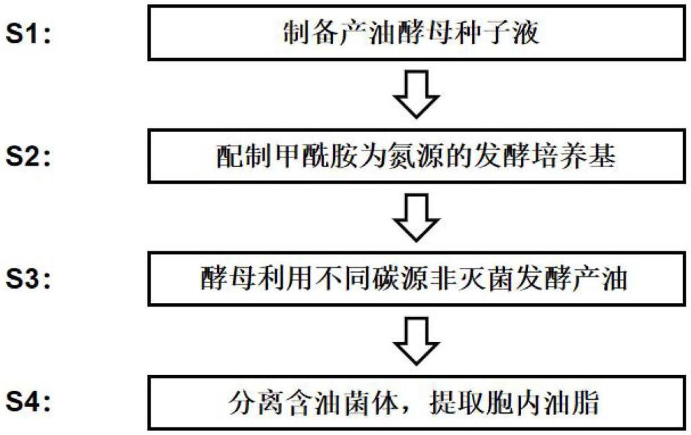 一种基于特殊氮源甲酰胺的非灭菌油脂发酵方法