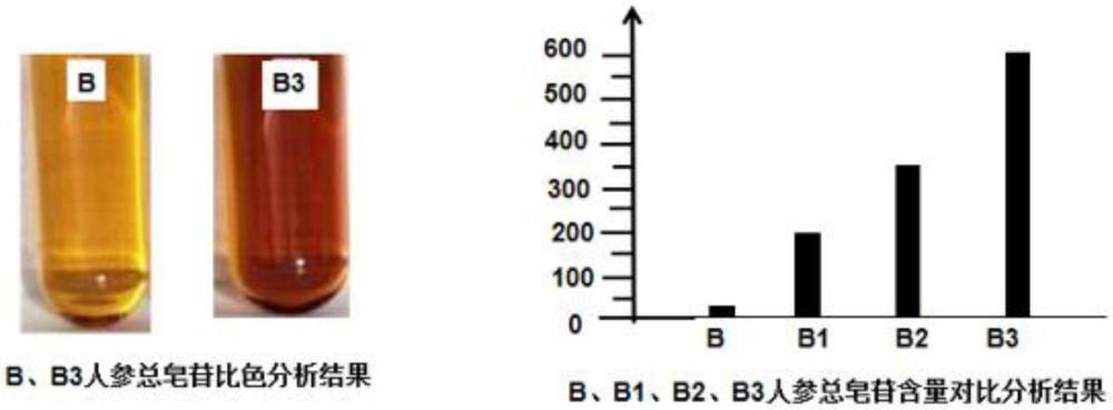 一种富含人参皂苷功能稻的生物技术育种方法与流程