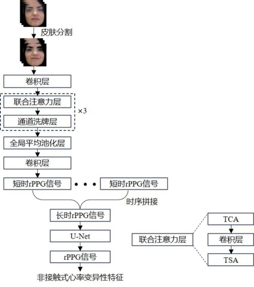 基于联合注意力的非接触式心率变异性检测方法及系统