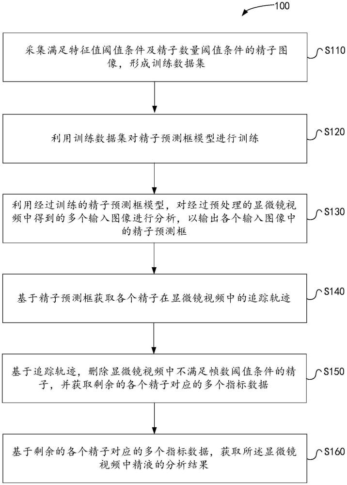 一种用于对精液进行智能分析的方法、装置及存储介质与流程